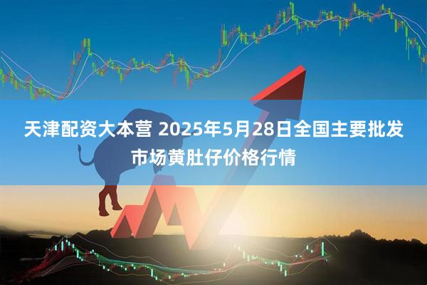 天津配资大本营 2025年5月28日全国主要批发市场黄肚仔价格行情