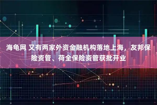 海龟网 又有两家外资金融机构落地上海，友邦保险资管、荷全保险资管获批开业