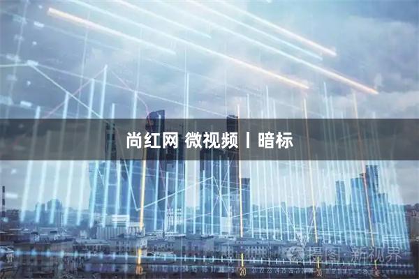 尚红网 微视频丨暗标