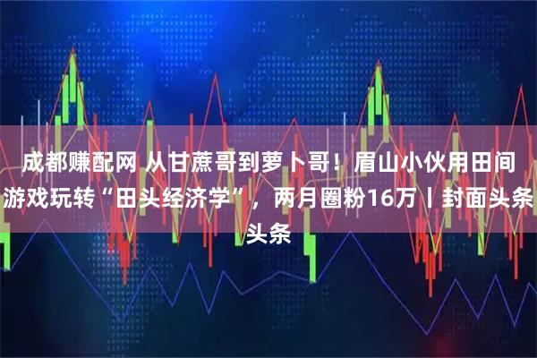 成都赚配网 从甘蔗哥到萝卜哥！眉山小伙用田间游戏玩转“田头经济学”，两月圈粉16万丨封面头条