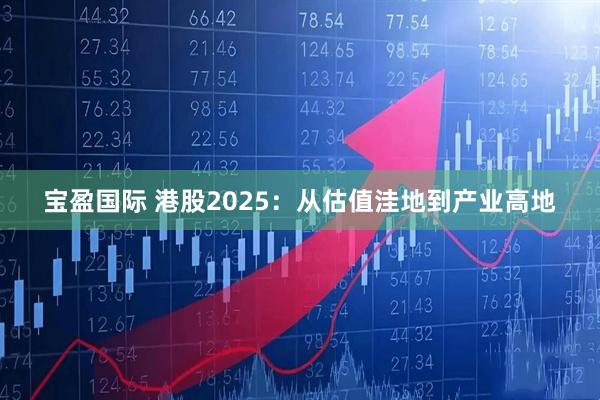 宝盈国际 港股2025：从估值洼地到产业高地