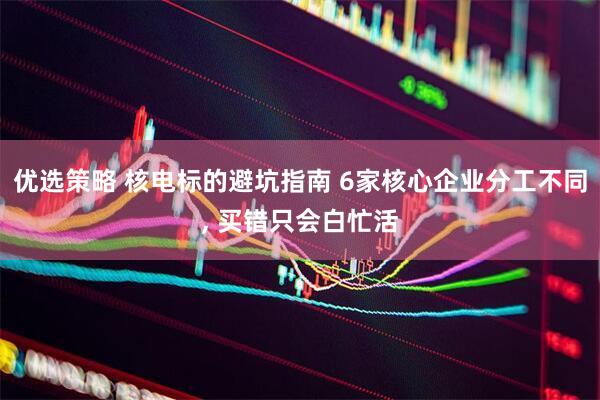 优选策略 核电标的避坑指南 6家核心企业分工不同, 买错只会白忙活