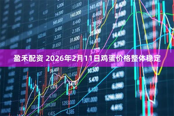 盈禾配资 2026年2月11日鸡蛋价格整体稳定